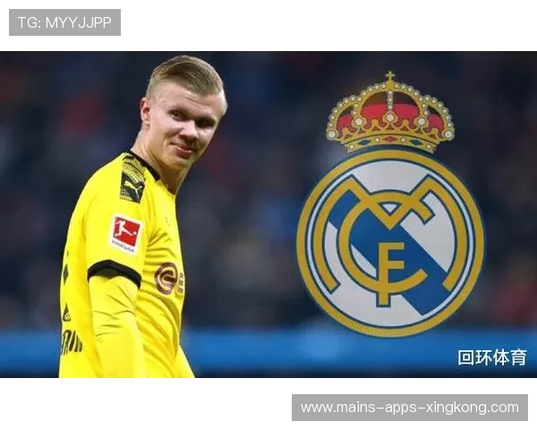 波尔图追哈兰德:九号核心的未来蓝图 波尔图追哈兰德:九号核心的未来蓝图